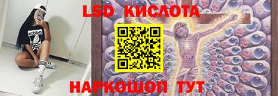 PSILOCYBIN Моздок