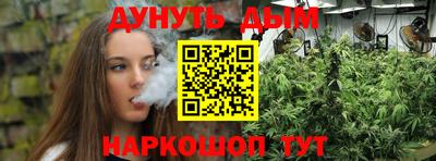 гидропоника Можга
