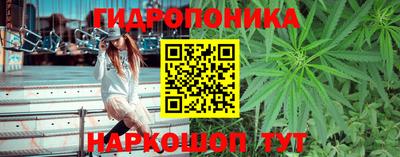 PSILOCYBIN Моздок