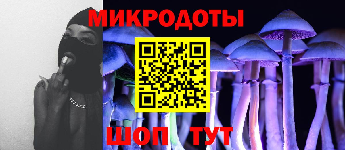 Псилоцибиновые грибы Psilocybe Верхняя Салда